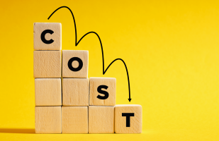 avm-cost